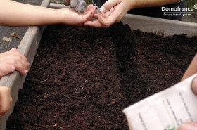 Des potagers partagés pour favoriser le lien social