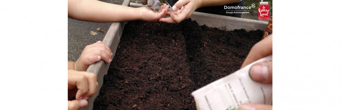 Des potagers partagés pour favoriser le lien social